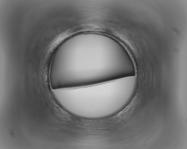 X0000112171455200908070949