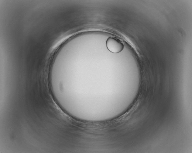 X0000112171456200908070949