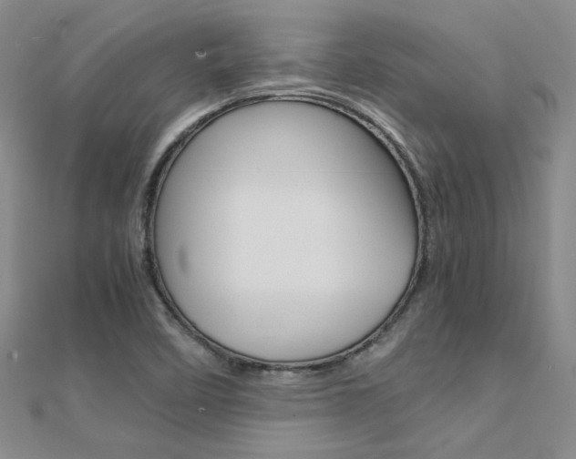 X0000112171458200908070949