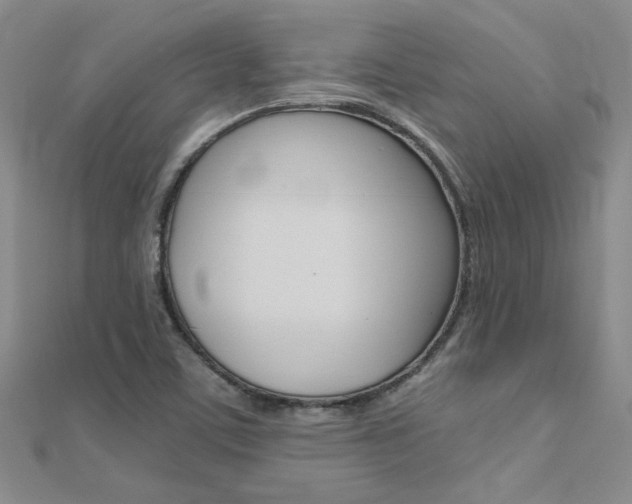 X0000112171459200908070949