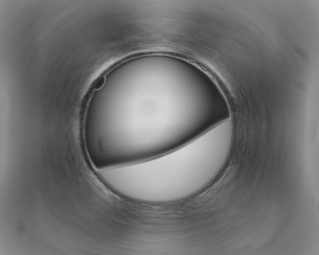 X0000112171460200908070949