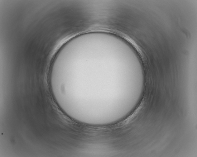 X0000112171461200908070949