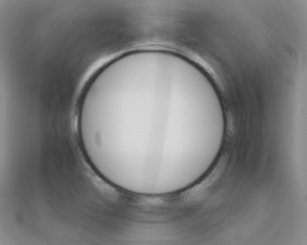 X0000112171462200908070949