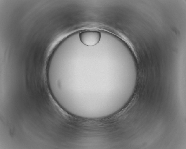 X0000112171464200908070949