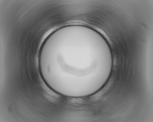 X0000112171466200908070949