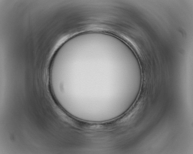 X0000112171467200908070949