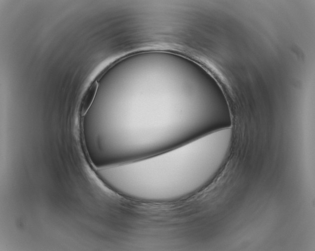X0000112171468200908070949