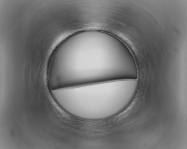 X0000112171469200908070949