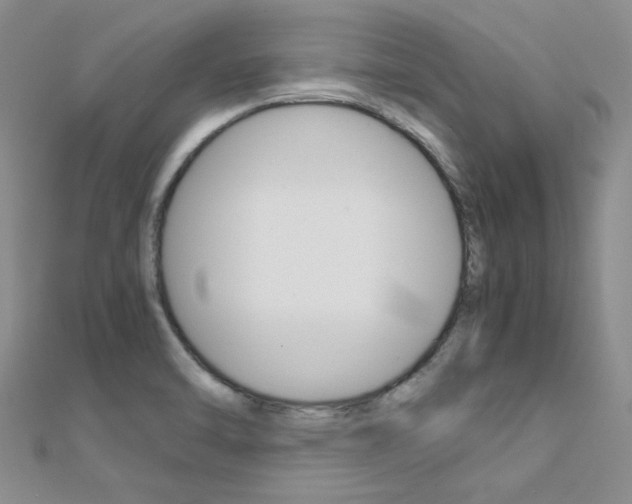 X0000112171470200908070949