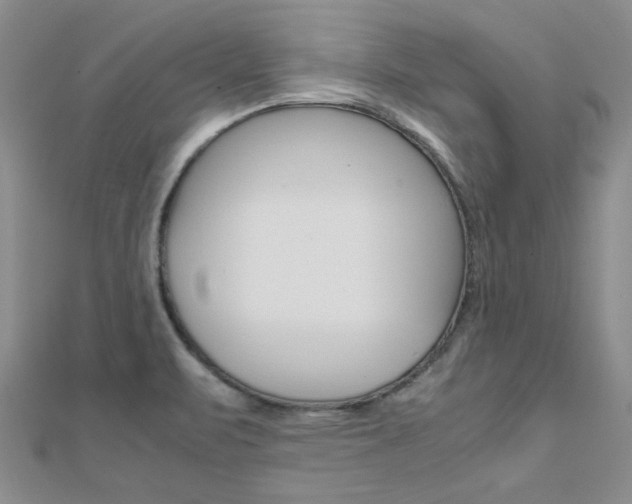 X0000112171471200908070949