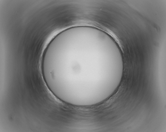 X0000112171472200908070949
