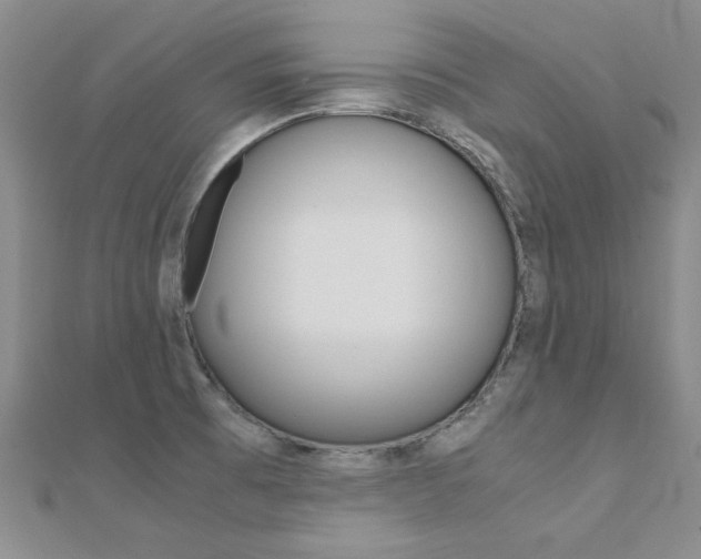 X0000112171473200908070949