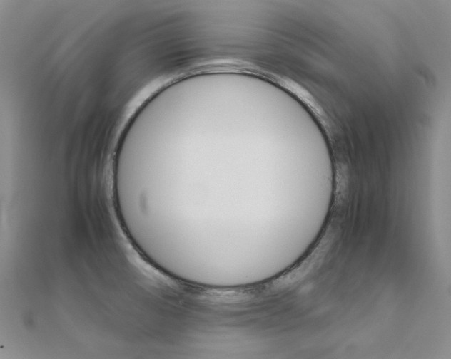 X0000112171474200908070949