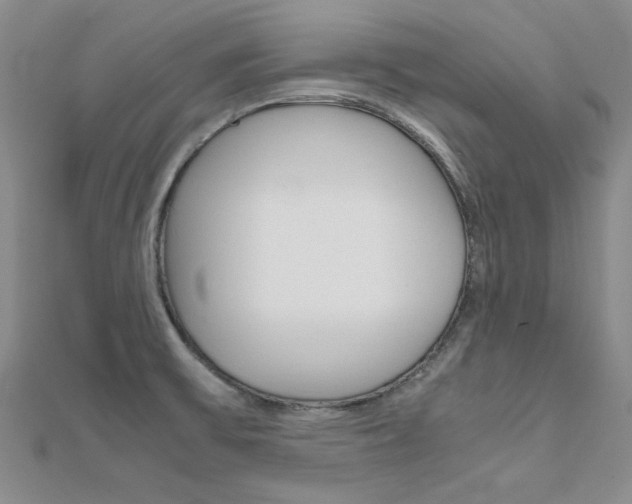 X0000112171475200908070949