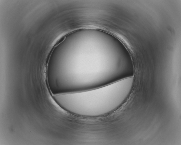 X0000112171476200908070949