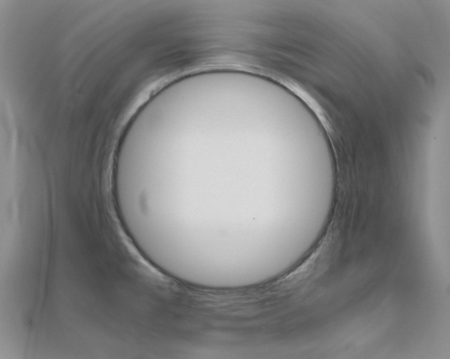 X0000112171477200908070949