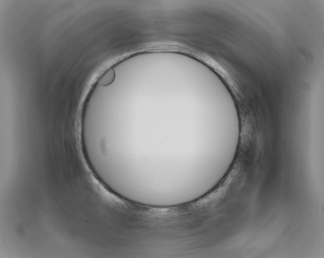 X0000112171478200908070949