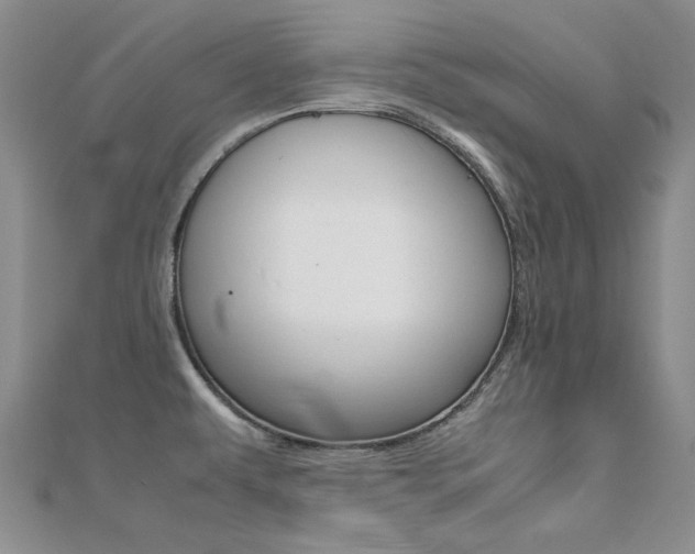 X0000112171479200908070949
