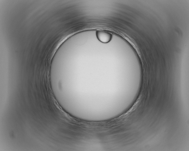 X0000112171481200908070949