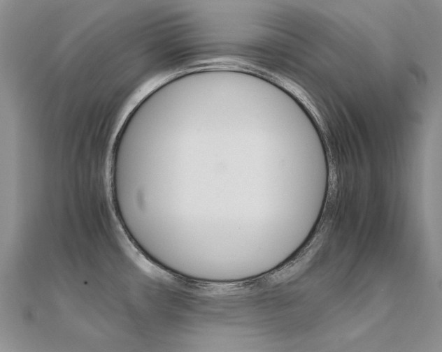 X0000112171482200908070949
