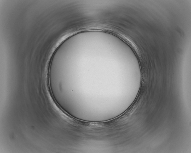 X0000112171483200908070949