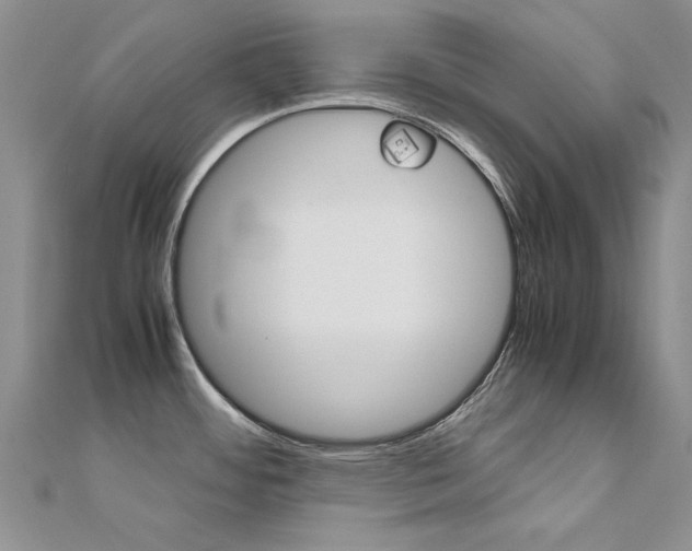 X0000112171484200908070949