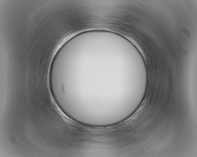 X0000112171485200908070949