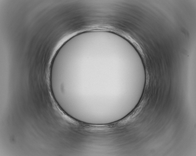 X0000112171486200908070949