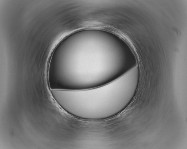 X0000112171488200908070949