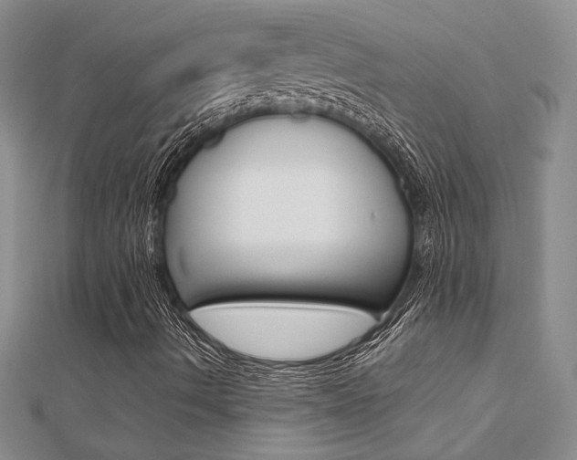 X0000112171490200908070948