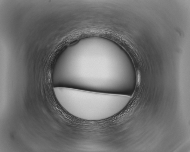 X0000112171492200908070948