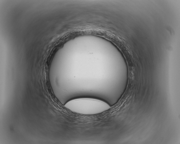 X0000112171493200908070948