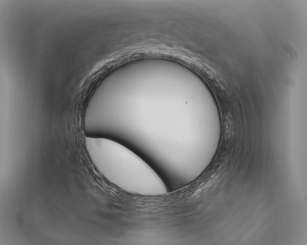 X0000112171494200908070948