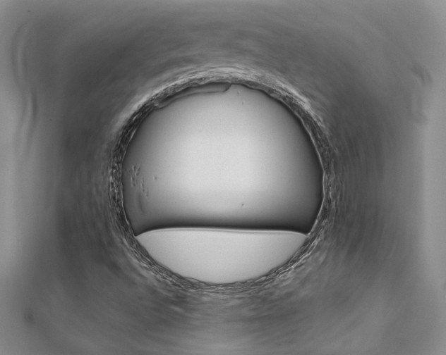 X0000112171496200908070948