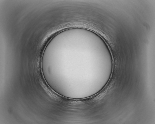 X0000112171499200908070948
