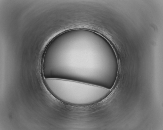 X0000112171500200908070948