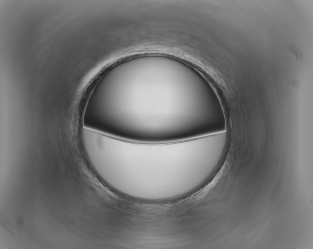 X0000112171502200908070948