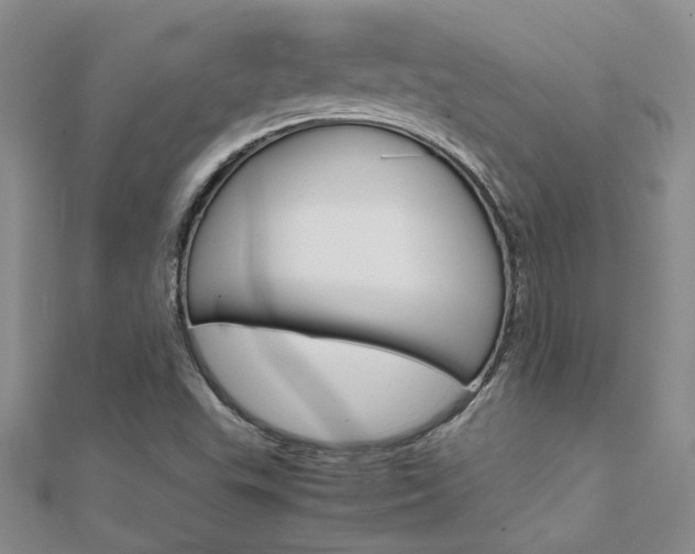 X0000112171503200908070948