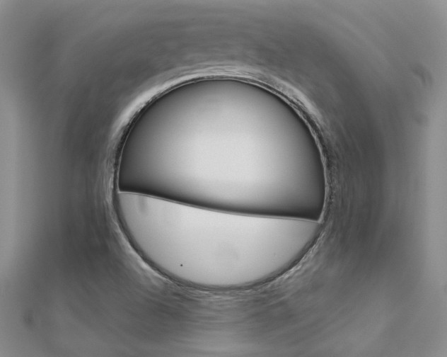 X0000112171504200908070948