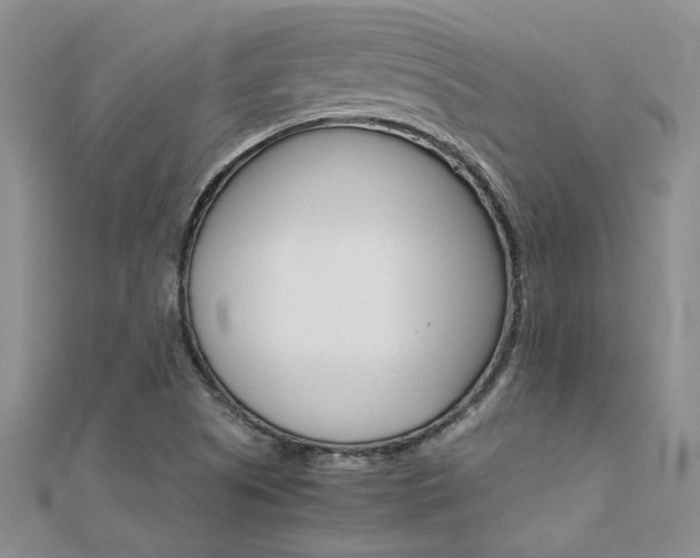 X0000112171505200908070949