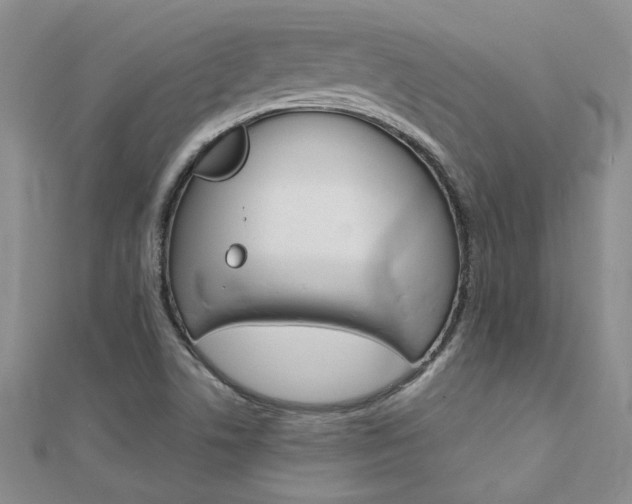 X0000112171506200908070949