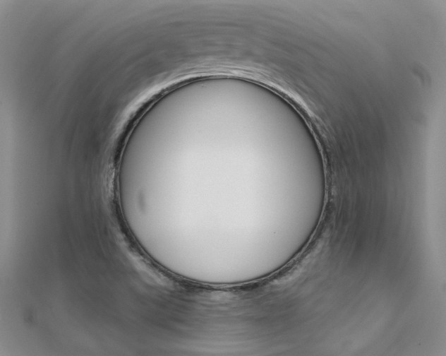 X0000112171507200908070949