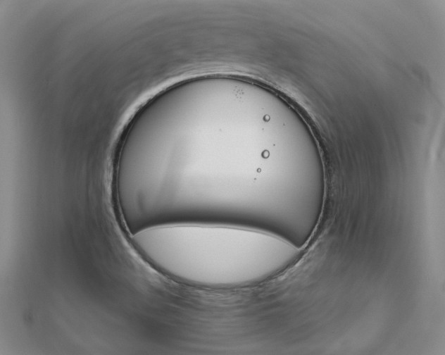 X0000112171508200908070949