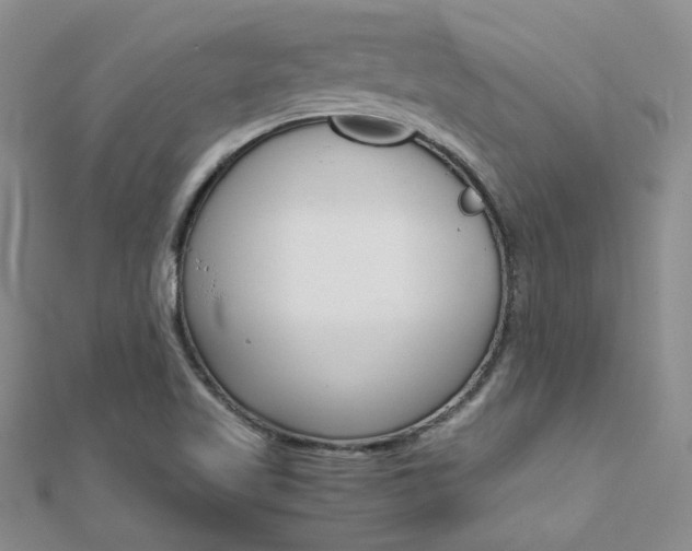 X0000112171509200908070949