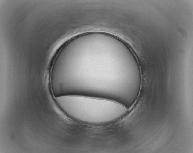 X0000112171511200908070949