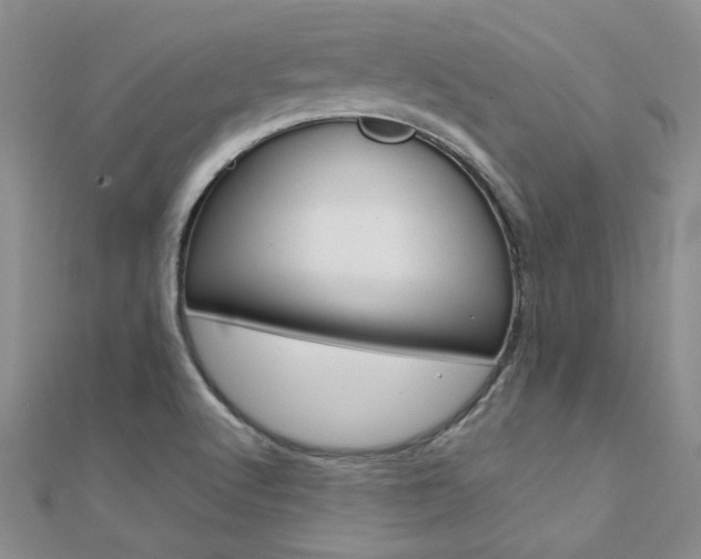 X0000112171512200908070949