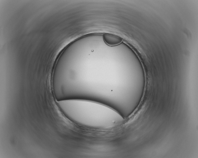 X0000112171513200908070949