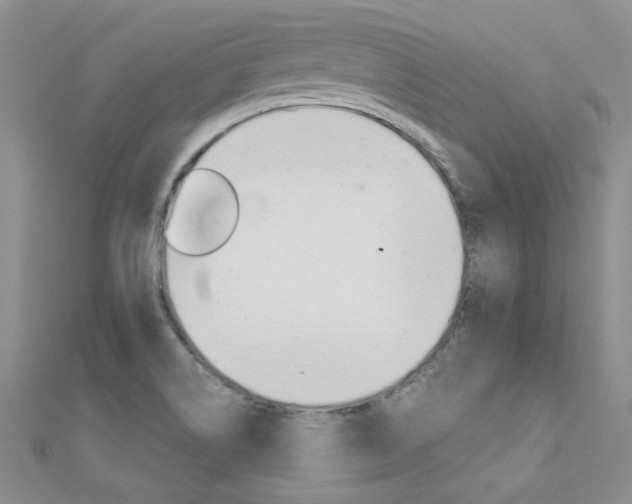 X0000112171514200908070949