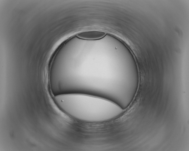 X0000112171515200908070949