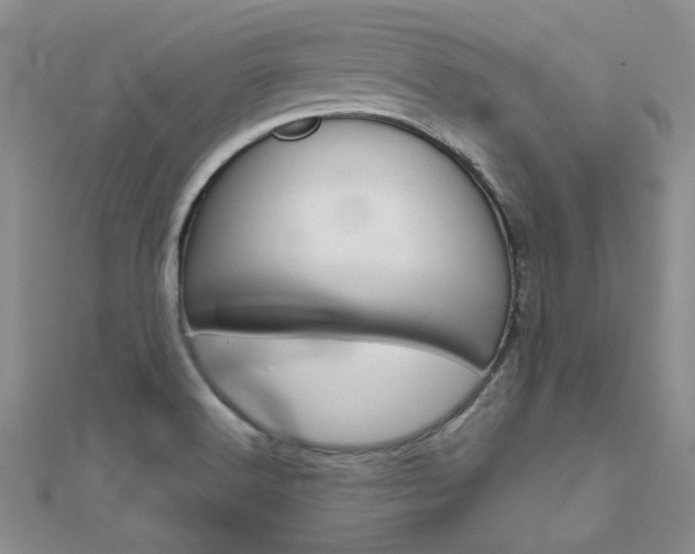 X0000112171516200908070949